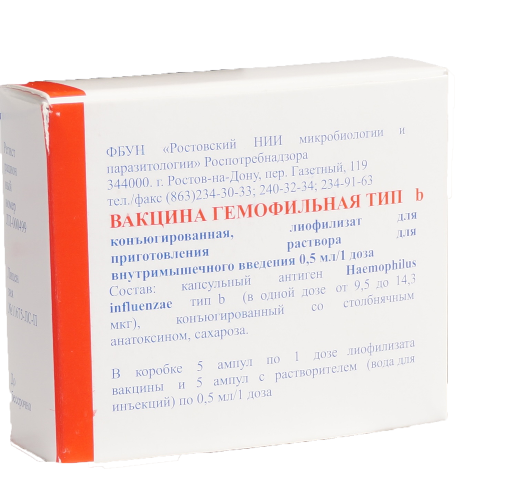 gemofilka-1.png